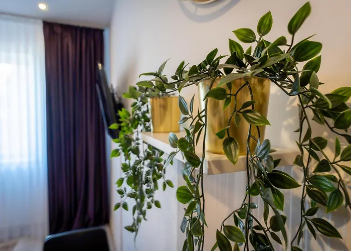 Apartmán Park View *